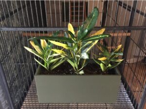 Plant Container for Cage