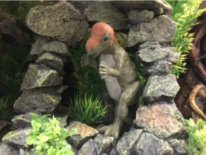 Pachycephalosaurus