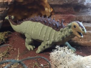 Ankylosaurus