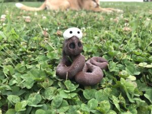 Poo Snake