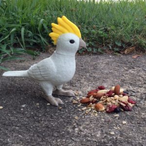 Cockatiel
