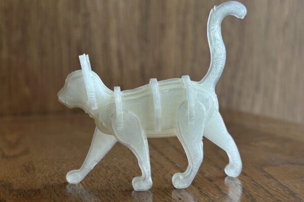 cat kit
